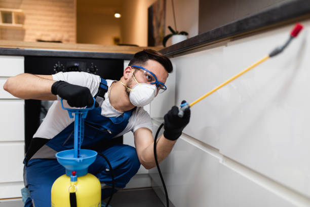Best Emergency Pest Control  in Beacon, NY