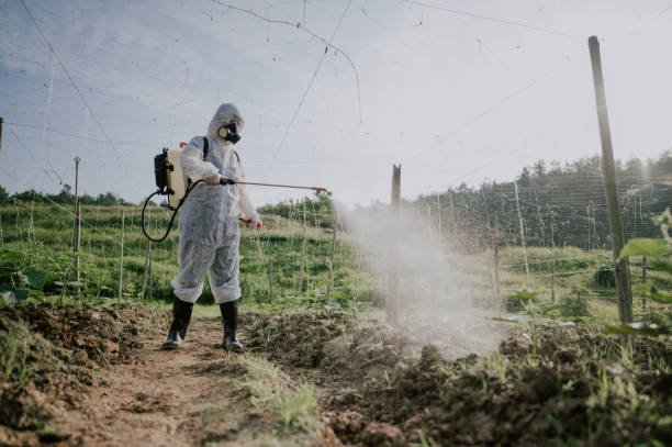 Best Mosquito Control Services  in Beacon, NY