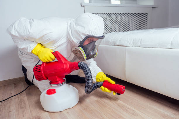 Best Bed Bug Extermination  in Beacon, NY