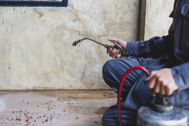 Best Termite Control Services  in Beacon, NY